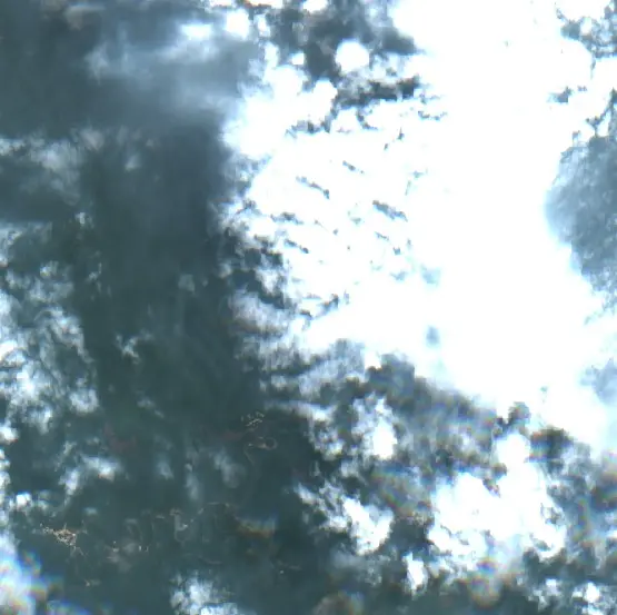 After —  (Sentinel-2, 2026-09-24)