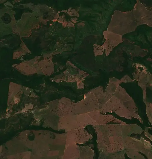 After — Pedro Gomes (Sentinel-2, 2026-10-19)