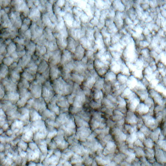 After — Apuí (Sentinel-2, 2026-09-05)