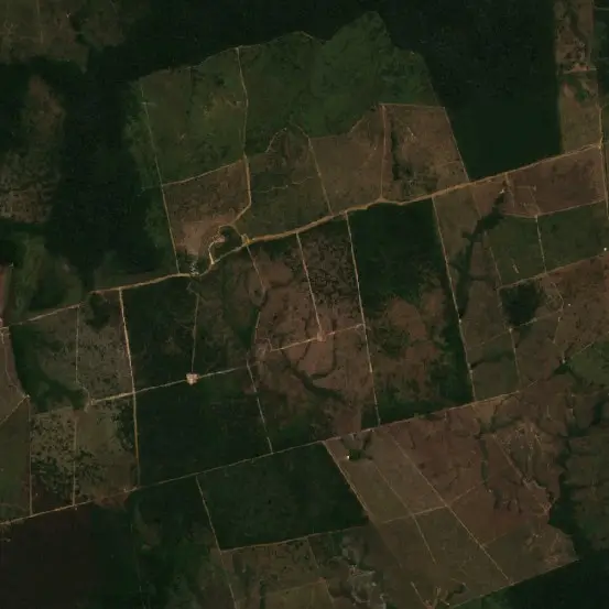 Before — Apuí (Sentinel-2, 2026-08-16)