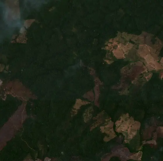 Depois — Aveiro (Sentinel-2, 2026-10-12)