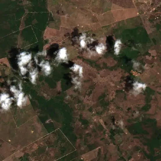 After — Cantanhede (Sentinel-2, 2026-10-20)