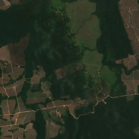 Depois — Novo Progresso (Sentinel-2, 2026-09-12)