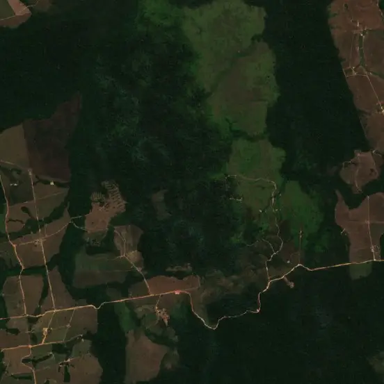 Antes — Novo Progresso (Sentinel-2, 2026-08-03)