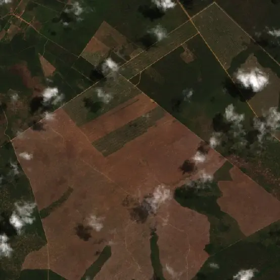 Before —  (Sentinel-2, 2026-09-07)