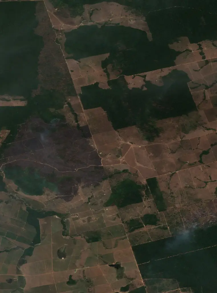 After —  (Sentinel-2, 2026-09-12)