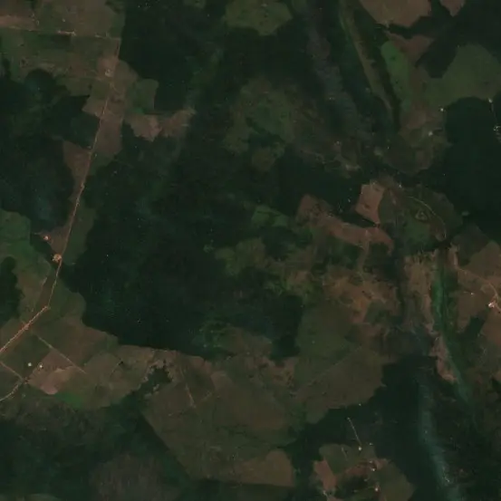 Before — São Félix do Xingu (Sentinel-2, 2026-08-20)