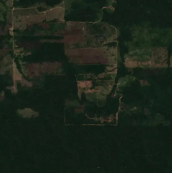 After —  (Sentinel-2, 2026-09-08)