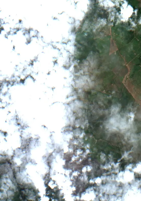 Depois — São Félix do Xingu (Sentinel-2, 2026-10-19)