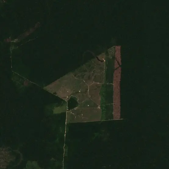 Before —  (Sentinel-2, 2026-08-29)