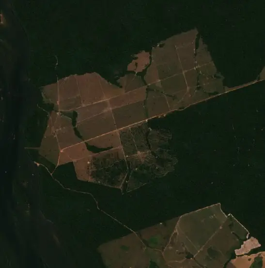 Before — Nova Bandeirantes (Sentinel-2, 2026-08-21)