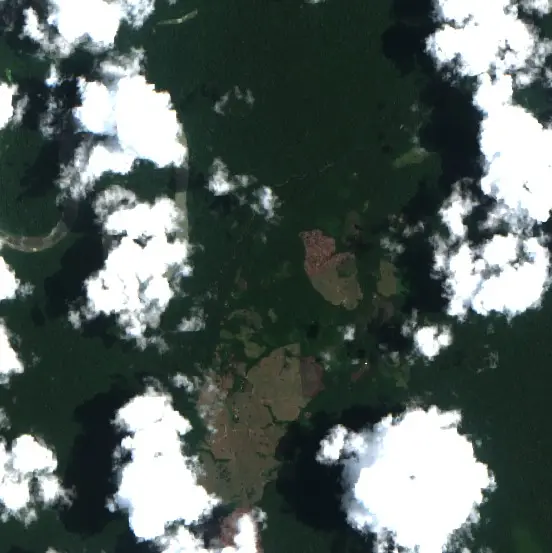 After — Ipixuna (Sentinel-2, 2026-10-13)