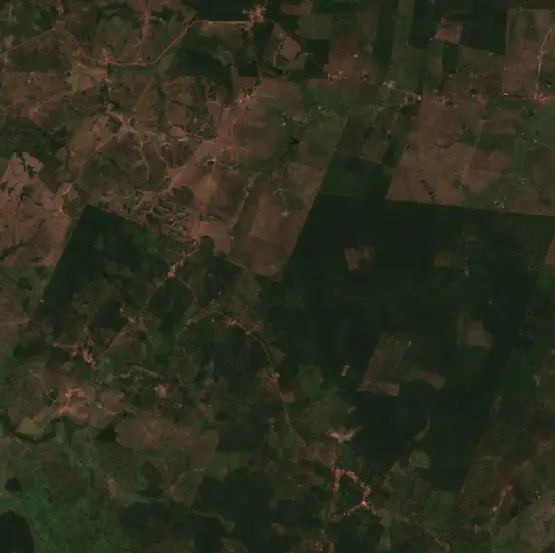Before —  (Sentinel-2, 2026-08-31)