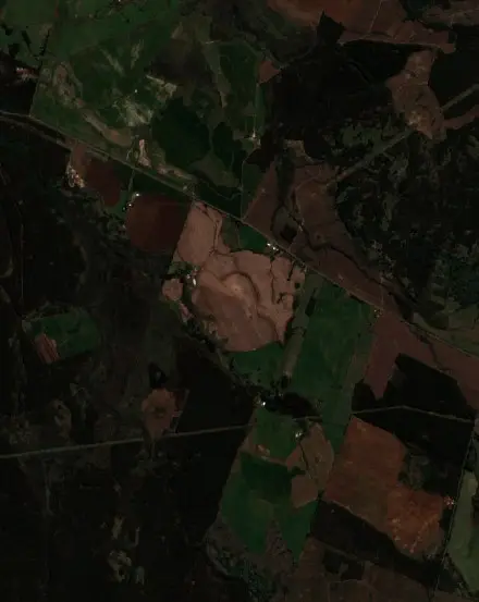 Después — Mulchén (Sentinel-2, 2026-09-14)