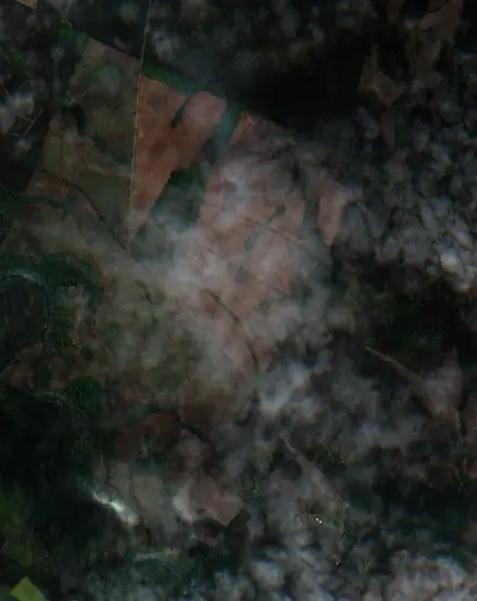 After — Mulchén (Sentinel-2, 2026-10-14)