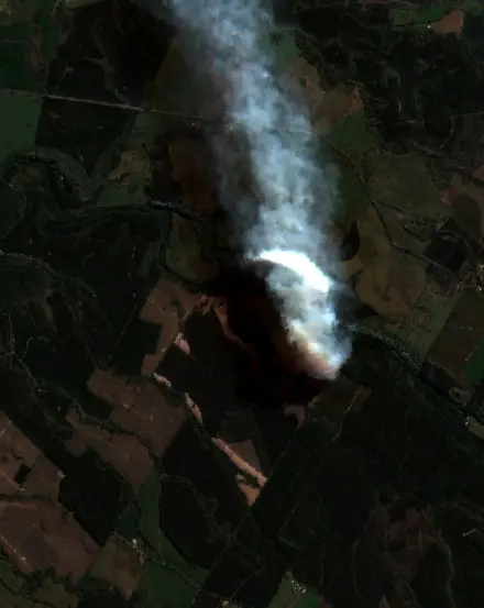 Después — Mulchén (Sentinel-2, 2026-09-14)
