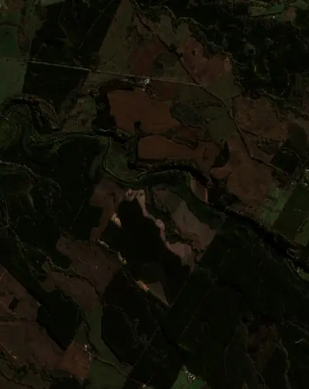 Antes — Mulchén (Sentinel-2, 2026-08-10)