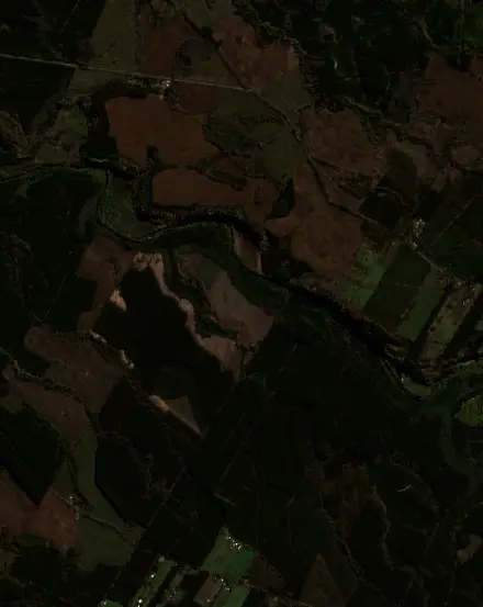 Antes — Mulchén (Sentinel-2, 2026-08-10)