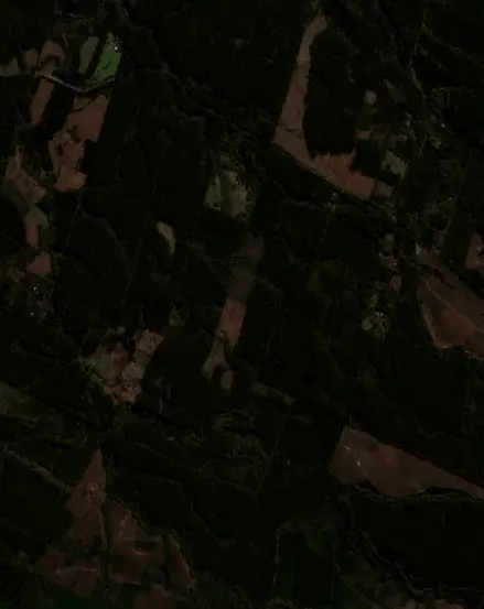 Antes —  (Sentinel-2, 2026-08-10)