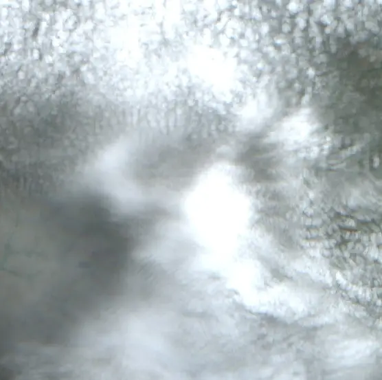 Después —  (Sentinel-2, 2026-09-11)