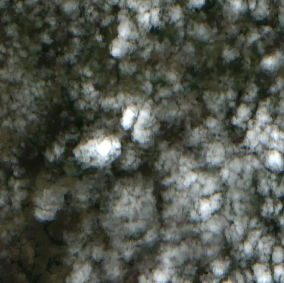 Antes —  (Sentinel-2, 2026-09-03)