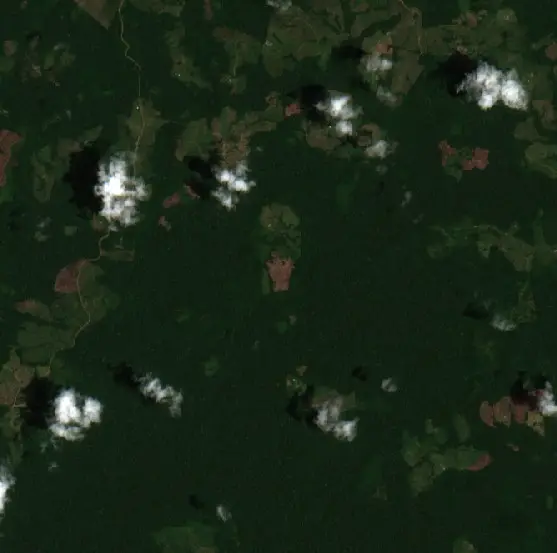 After — Puerto Guzmán (Sentinel-2, 2026-10-06)