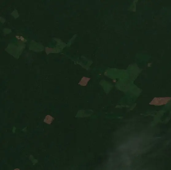 Before — Cartagena del Chairá (Sentinel-2, 2026-09-03)