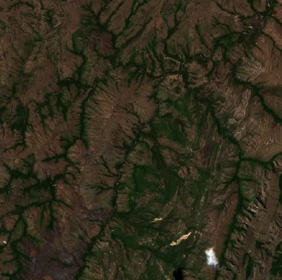 Before — Neiva (Sentinel-2, 2026-08-10)