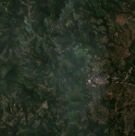 Before — Salazar (Sentinel-2, 2026-08-10)