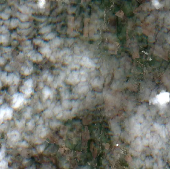 Después — Campoalegre (Sentinel-2, 2026-10-04)