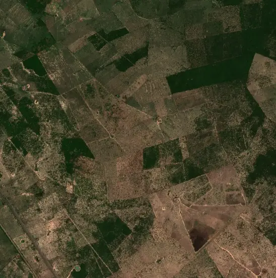 Después — Bosconia (Sentinel-2, 2026-09-04)