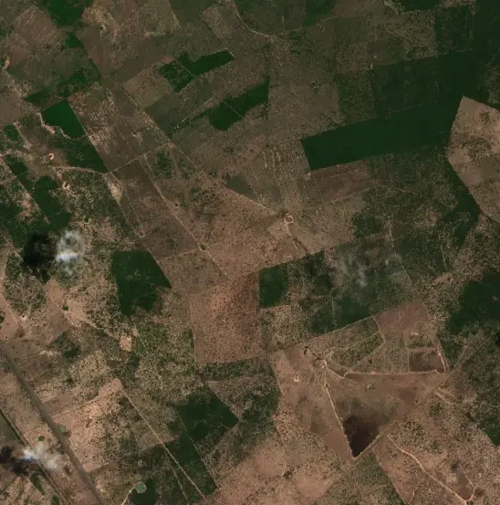 Antes — Bosconia (Sentinel-2, 2026-08-25)