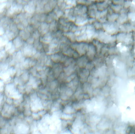 Después — Coello (Sentinel-2, 2026-10-06)