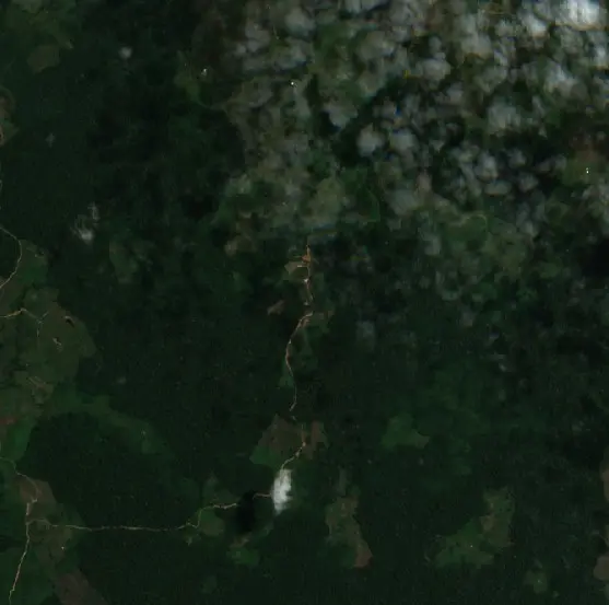 Antes — Puerto Guzmán (Sentinel-2, 2026-08-10)