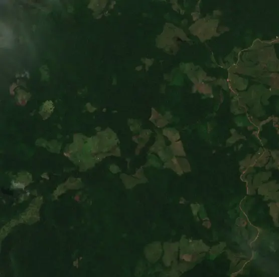 Antes — Vista Hermosa (Sentinel-2, 2026-09-01)