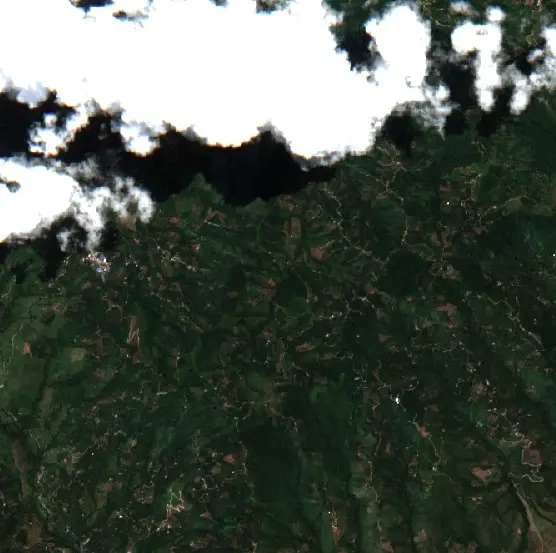 Antes — Pital (Sentinel-2, 2026-08-10)