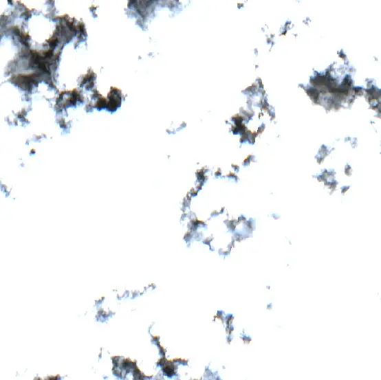 Después — La Primavera (Sentinel-2, 2026-09-18)