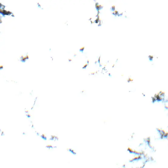 Después —  (Sentinel-2, 2026-10-13)