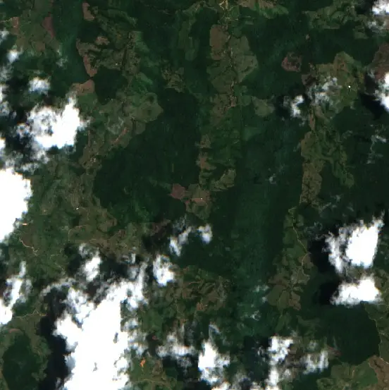 Después — Remedios (Sentinel-2, 2026-09-09)