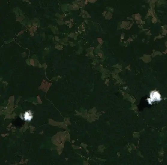 Before — Puerto Caicedo (Sentinel-2, 2026-08-27)
