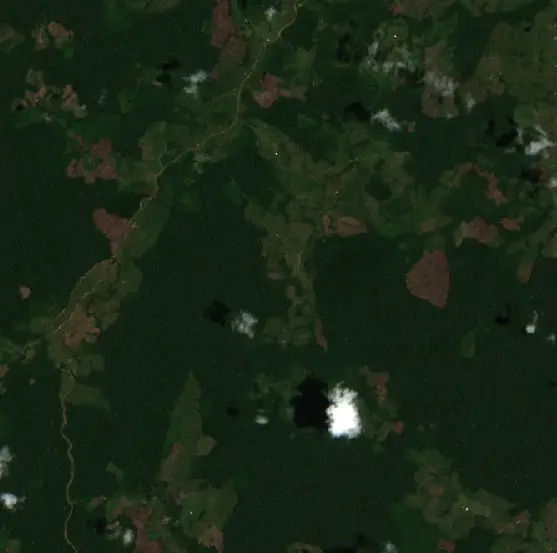 Después — Puerto Guzmán (Sentinel-2, 2026-10-06)