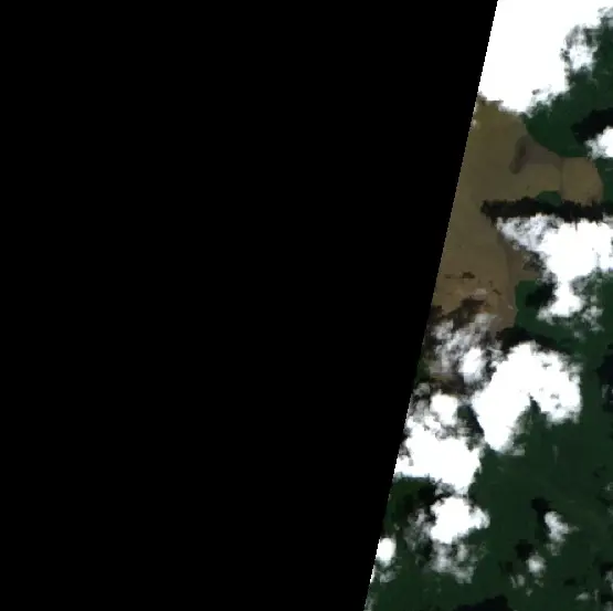 Después — Cumaribo (Sentinel-2, 2026-10-15)
