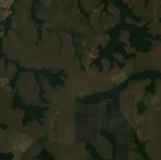 Antes — Cumaribo (Sentinel-2, 2026-08-11)