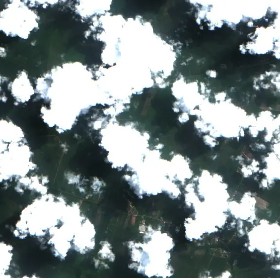 Before — Palangka Raya (Sentinel-2, 2026-07-31)