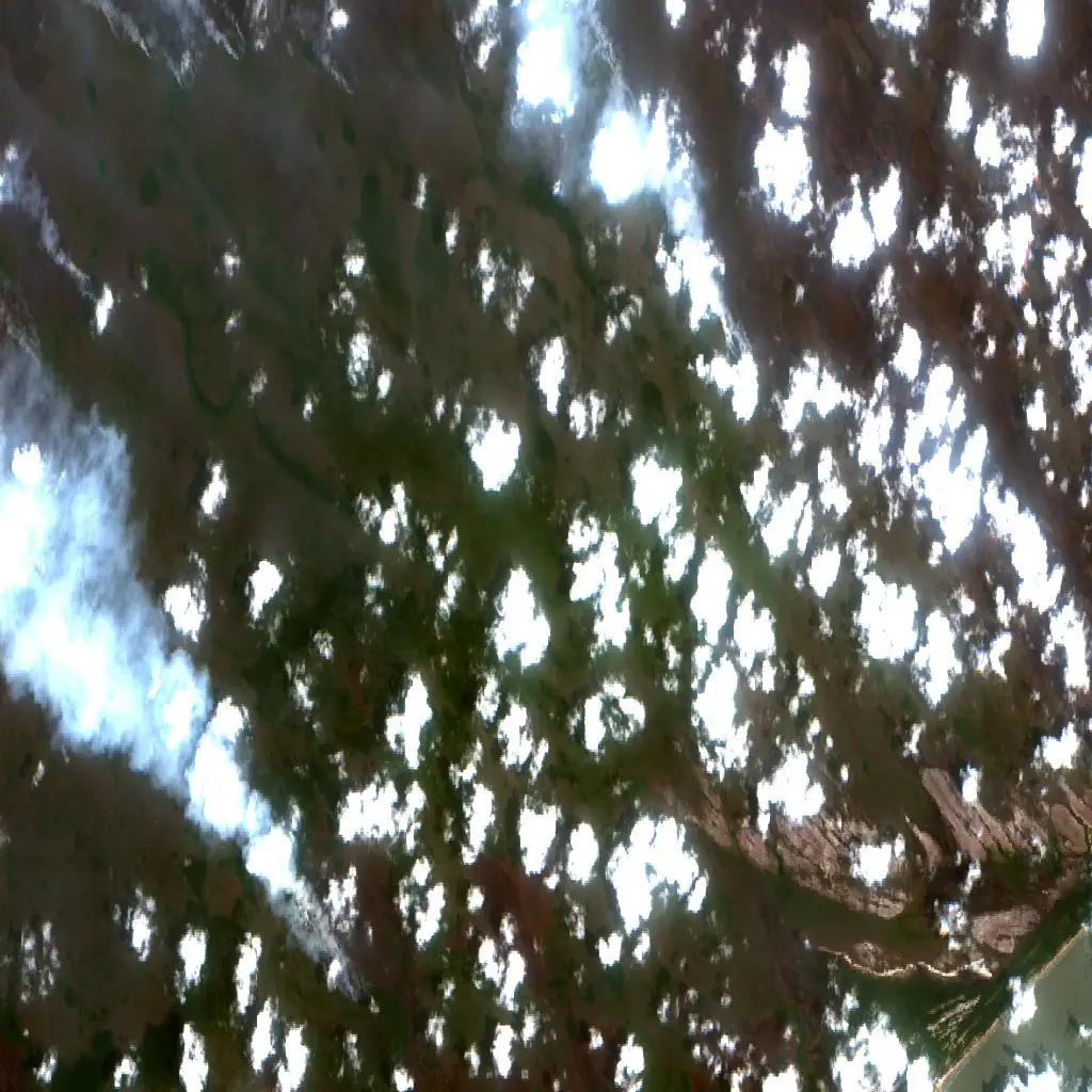 After — Seruyan (Sentinel-2, 2026-10-21)