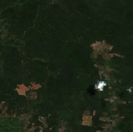 After — Kolaka (Sentinel-2, 2026-09-07)
