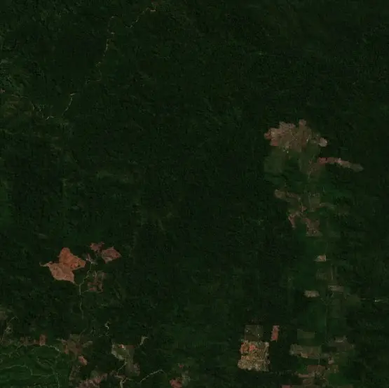 Before — Kolaka (Sentinel-2, 2026-08-08)