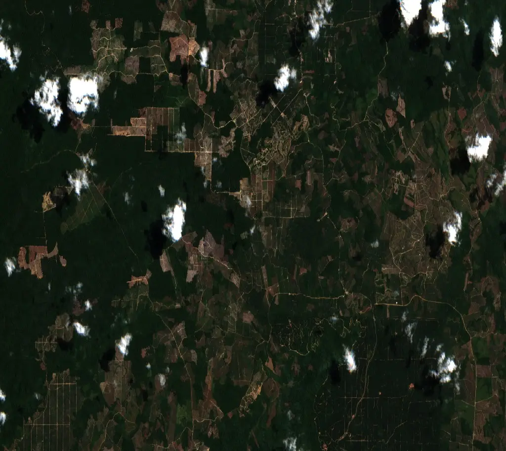 Before —  (Sentinel-2, 2026-08-08)