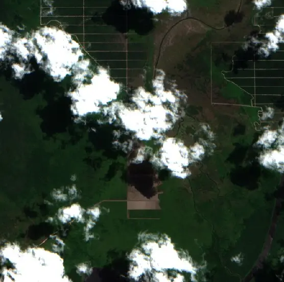 Before — Ketapang (Sentinel-2, 2026-08-08)