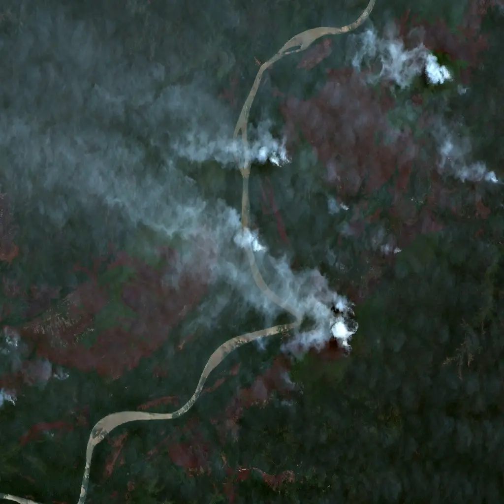 After — Boven Digoel (Sentinel-2, 2026-10-11)